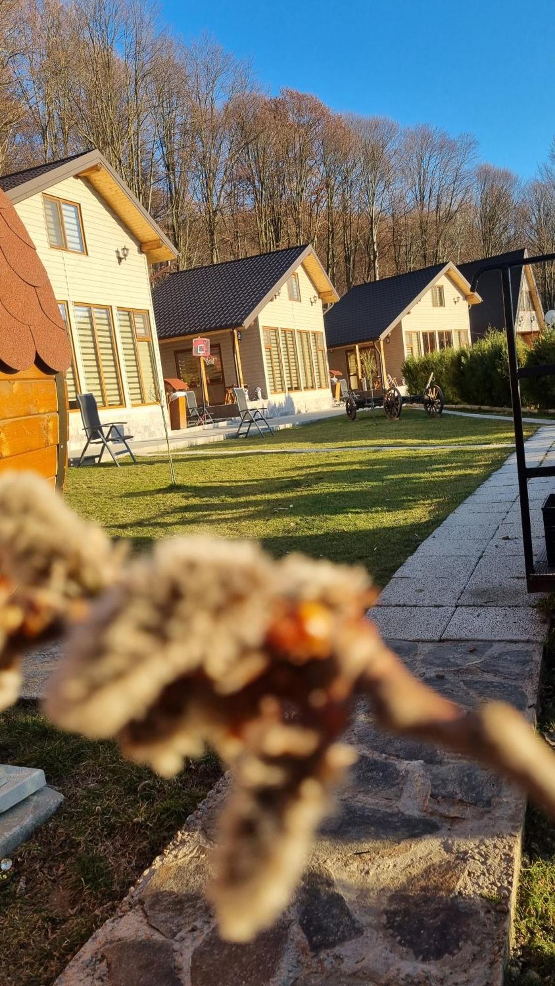 La Maria Si Ioana Apartman Árgyasudvarhely Kültér fotó